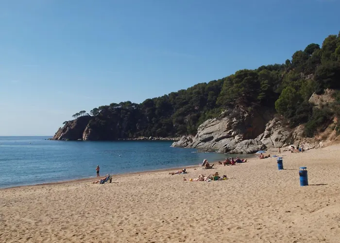 Andrea Tossa de Mar