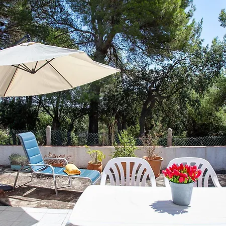 Holiday home Andrea *