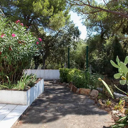 Andrea Tatil Evi